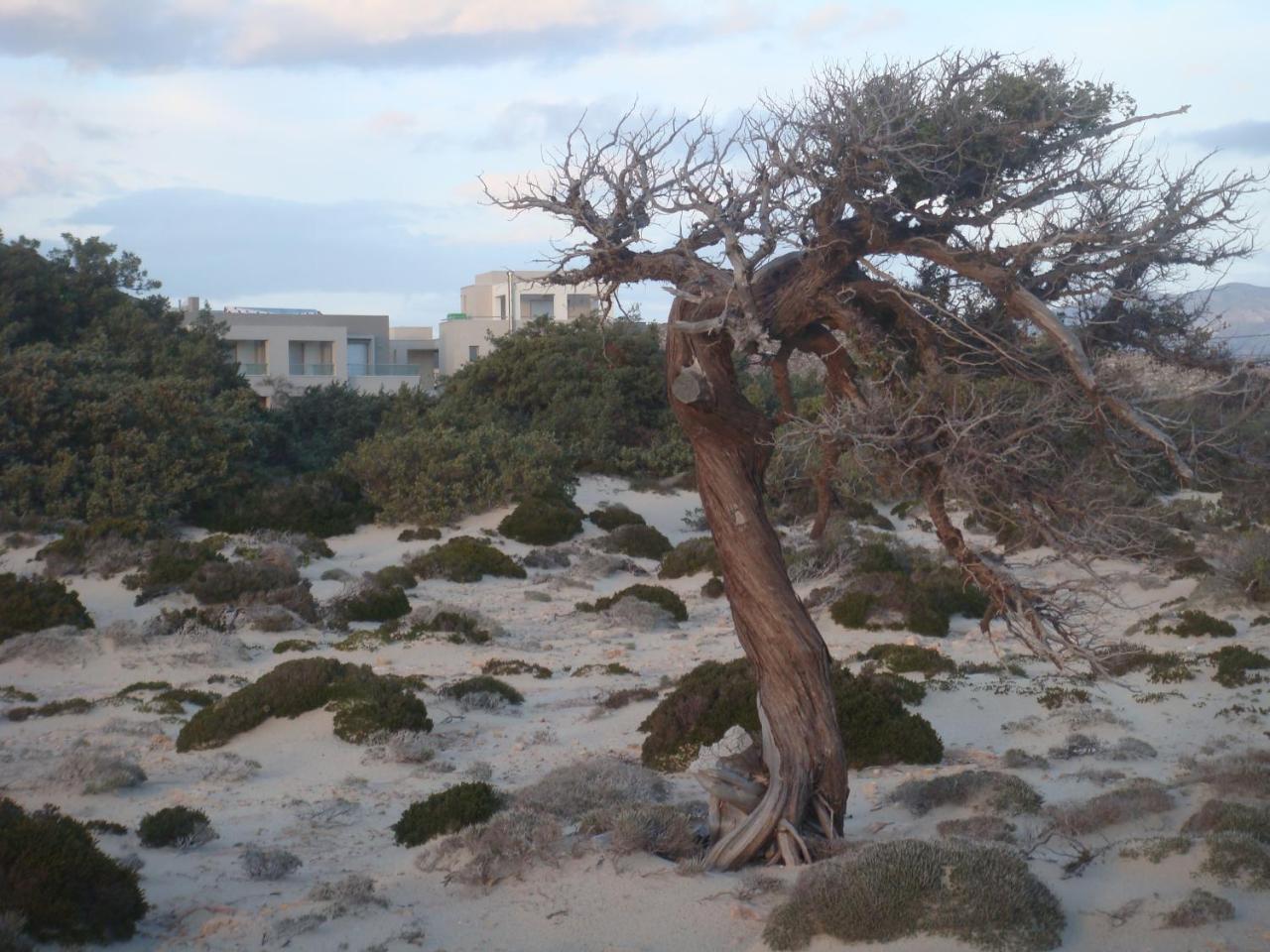 Double Bay Beach Hotel Elafonissos Exteriér fotografie